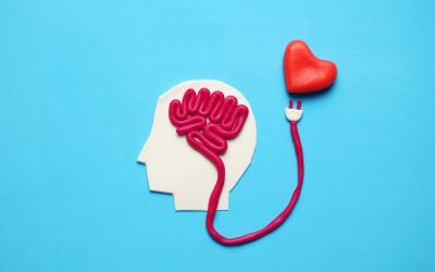 Taller de Inteligencia Emocional Infantil: la prevención del acoso escolar